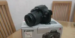 stock