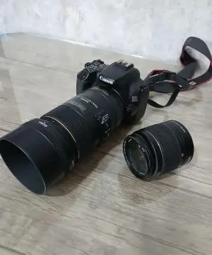 stock