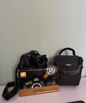 stock