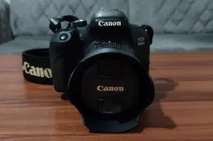 stock