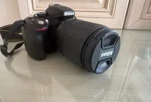stock