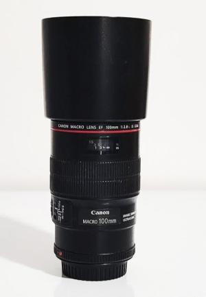 stock