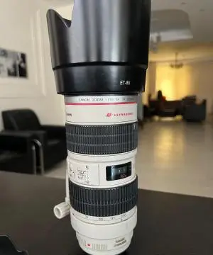 stock