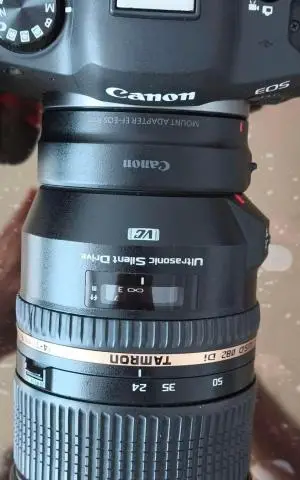 stock