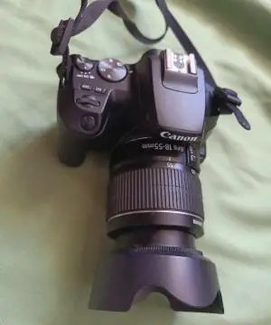 stock