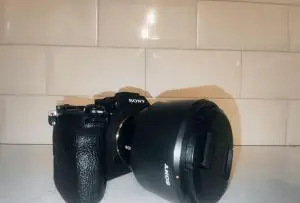 stock