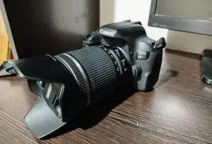 stock