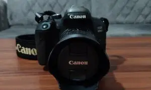 stock