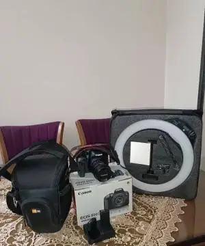 stock