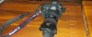 stock