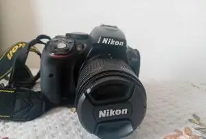 stock