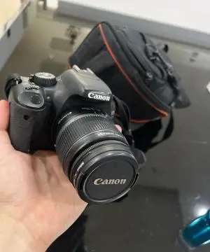stock