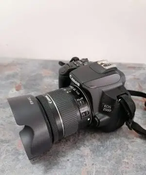 stock