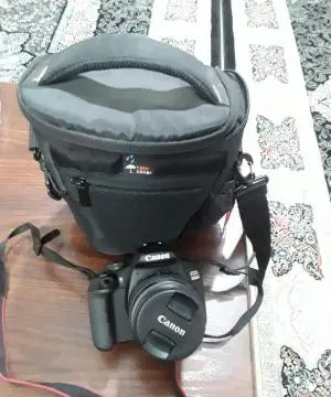 stock