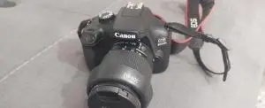 stock