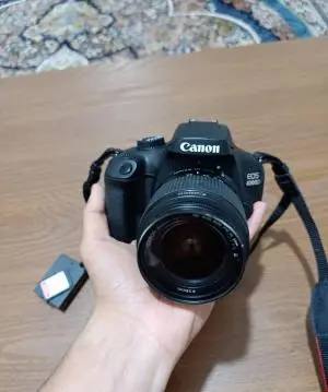 stock