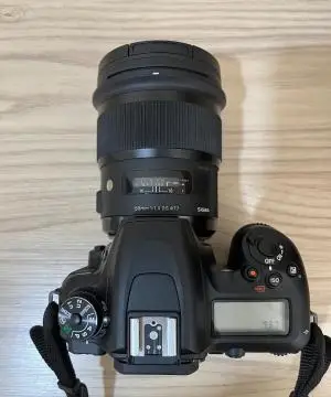 stock