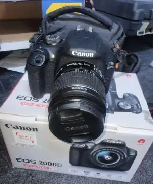 stock