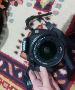 stock