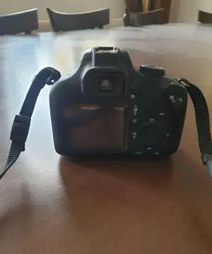 stock
