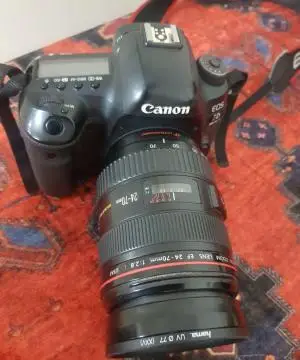 stock