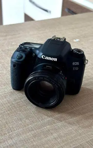 stock