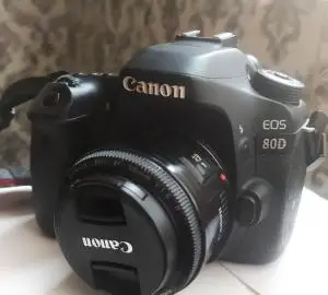stock