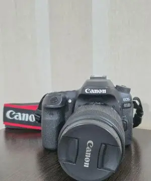 stock