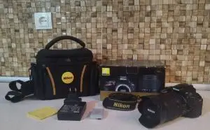 stock