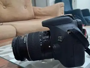 stock