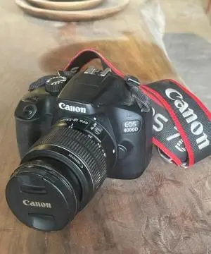 stock