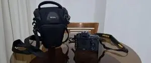 stock