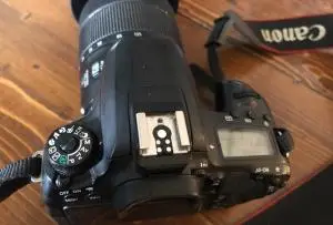 stock