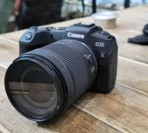 stock