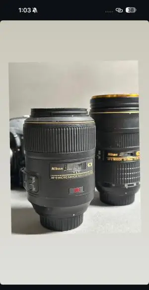 stock