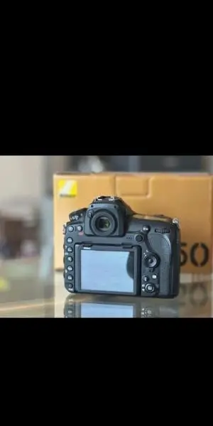 stock