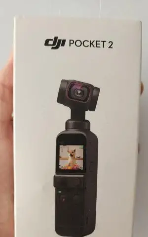 stock