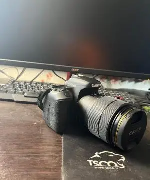 stock