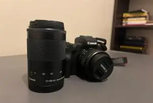 stock
