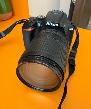 stock