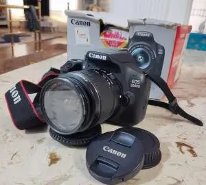 stock