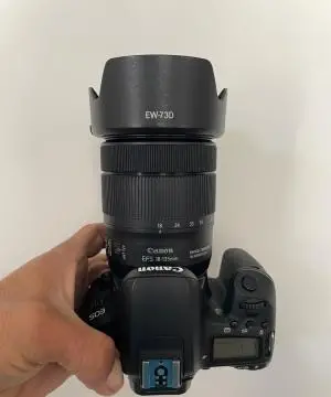 stock