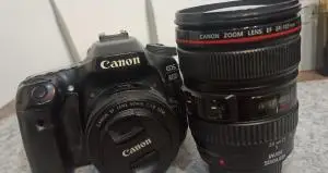 stock