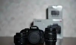 stock