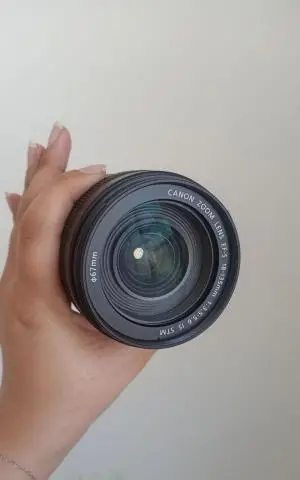 stock