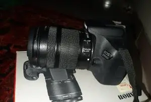 stock