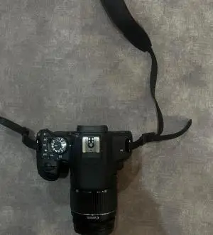 stock