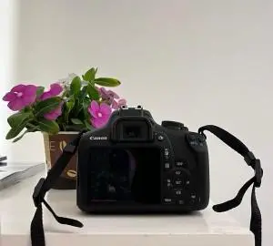 stock