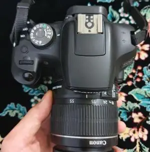 stock
