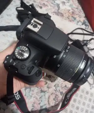 stock